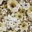 Ткань Prestigious Textiles lona 1496/629