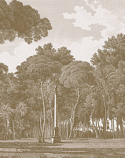 Панно и фотообои ICH Panorama II V162-2C