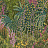 Обои Cole & Son The Gardens 120/5014
