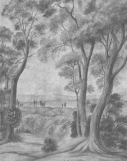 Панно и фотообои Paul Montgomery Studio Printed Mural Collections LAC-PTA/Grisaille