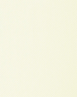 Обои Parati & Parati Uno FN26050