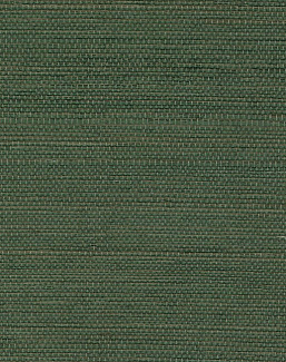 Обои Elitis Tribus RM106962