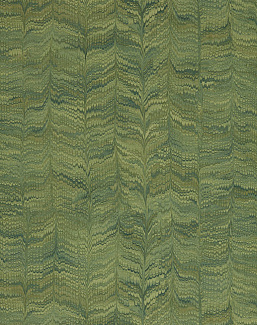 Обои Zoffany Endpapers 313084