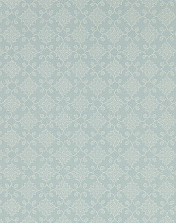 Обои Zoffany Endpapers 313088