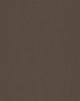 Ткань Дом Caro Sunbrella vol.3 Sandy soil Solids/3127