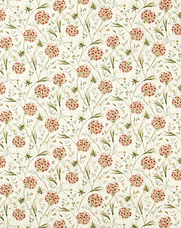 Ткань Zoffany Indienne 322783