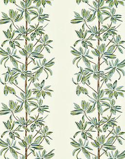 Ткань Thibaut Wanderlust F945034