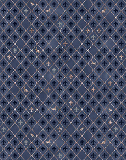 Ткань Vestale Impression Mystification 22MY07-01