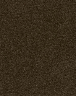 Ткань Loro Piana Cotton Velvet II AC3036/004