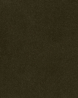 Ткань Loro Piana Cotton Velvet II AC3036/005