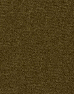 Ткань Loro Piana Cotton Velvet II AC3036/007