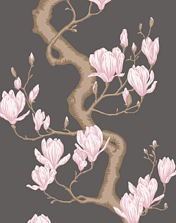 Обои Cole & Son Classics Collection Vol. II 128/1001