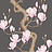 Обои Cole & Son Classics Collection Vol. II 128/1001