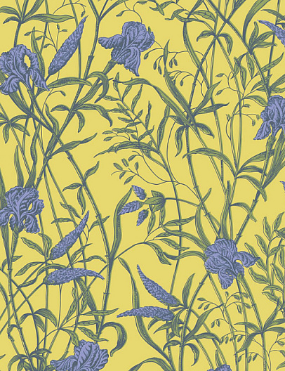 Обои Cole & Son Classics Collection Vol. II 128/5027