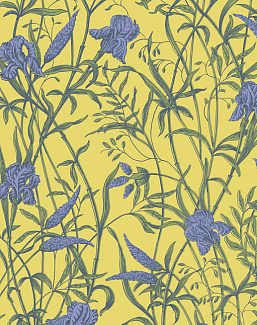 Обои Cole & Son Classics Collection Vol. II 128/5027