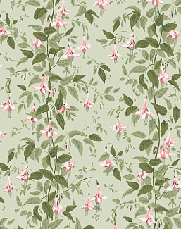 Обои Cole & Son Classics Collection Vol. II 128/6032