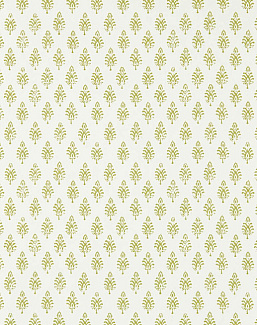 Обои Clarke & Clarke Indira W0238/01
