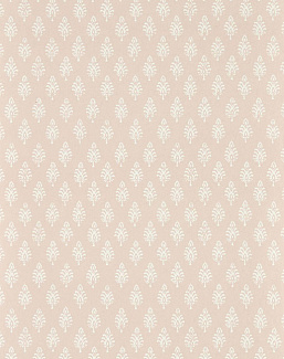 Обои Clarke & Clarke Indira W0238/02
