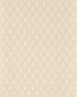 Обои Clarke & Clarke Indira W0238/04