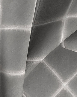 Ткань Daylight Ginevra Ginevra/Limestone