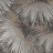Обои Rasch Florentine Incanto 977837