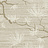 Обои Paper & Ink Shades & White WS70105