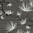 Обои Paper & Ink Shades & White WS70110