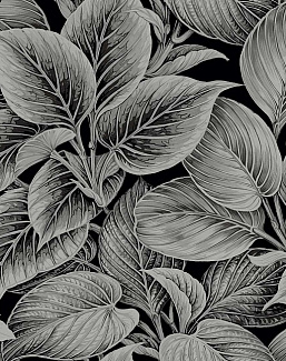Обои Paper & Ink Shades & White WS70300