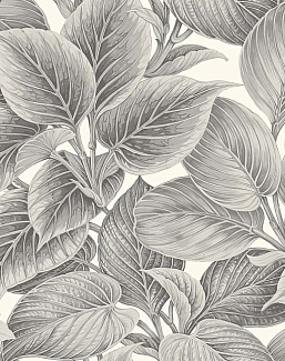 Обои Paper & Ink Shades & White WS70318