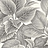 Обои Paper & Ink Shades & White WS70318