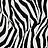 Обои Paper & Ink Shades & White WS70600