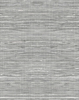 Обои Paper & Ink Shades & White WS71517