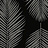 Обои Paper & Ink Shades & White WS71700