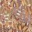 Обои Casamance Palmadora 76691528