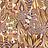 Обои Casamance Palmadora 76691528