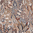 Обои Casamance Palmadora 76691630