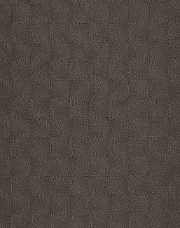 Обои Casadeco So Color 6 SOCO201889999
