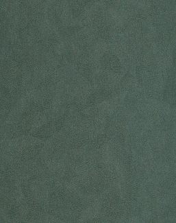 Обои Casadeco So Color 6 SOCO86426345