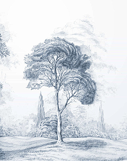 Обои Yana Svetlova Wallcoverings Art Prints ROYALFOREST-BLUE