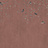 Панно и фотообои Factura Collection 2026 Inspirazione/9