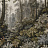 Панно и фотообои Factura Collection 2026 Taiga/1