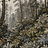 Панно и фотообои Factura Collection 2026 Taiga/1