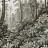 Панно и фотообои Factura Collection 2026 Taiga/2