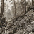 Панно и фотообои Factura Collection 2026 Taiga/3