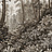 Панно и фотообои Factura Collection 2026 Taiga/3