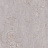 Обои Brewster Evolution 7 BWE071402