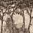 Панно и фотообои Coordonne Victorian B00374N