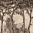 Панно и фотообои Coordonne Victorian B00374N