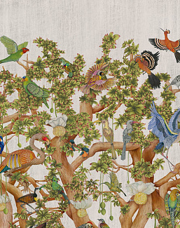 Обои Cole & Son Ardmore Baobab 129/1001