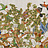 Обои Cole & Son Ardmore Baobab 129/1001